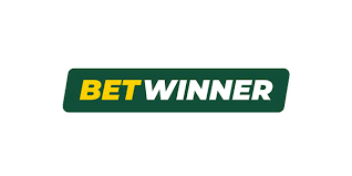 Introducing the BetWinner Platform Your Ultimate Betting Experience