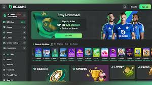 Understanding BC.Game IN Payments A Comprehensive Guide 1696444097