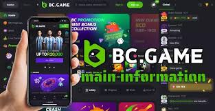 A Comprehensive Review of the BC.Game Crypto Casino Platform