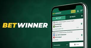 BetWinner Online Casino Review Experience the Thrills of Online Gambling BetWinner Online Casino Review Experience the Thrills of Online Gambling