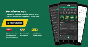 Exploring BetWinner A Comprehensive Guide to the Betting Experience