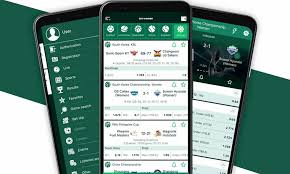 Exploring BetWinner Brazil Casino A Gateway to Online Gambling